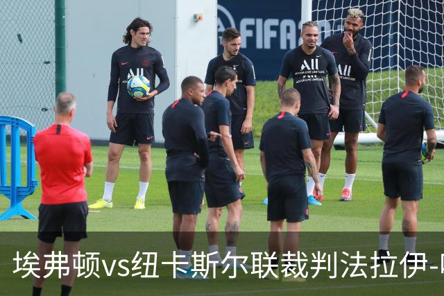 埃弗顿vs纽卡斯尔联裁判法拉伊-哈勒姆数据：近20场0红66黄6点