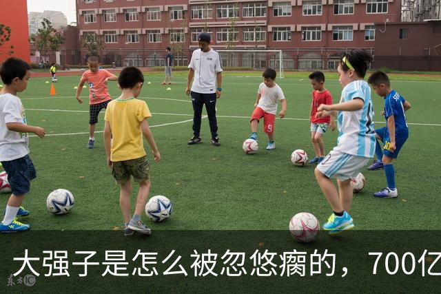 大强子是怎么被忽悠瘸的，700亿砸出5%的份额