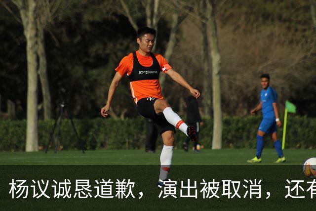 杨议诚恳道歉，演出被取消，还有374万债务没还，文旅局介入核查
