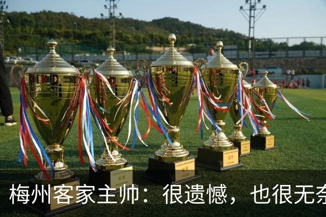 梅州客家主帅：很遗憾，也很无奈，球员们真的已经做到了极致