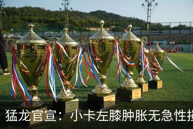 猛龙官宣：小卡左膝肿胀无急性损伤 一周后评估预计缺席数周