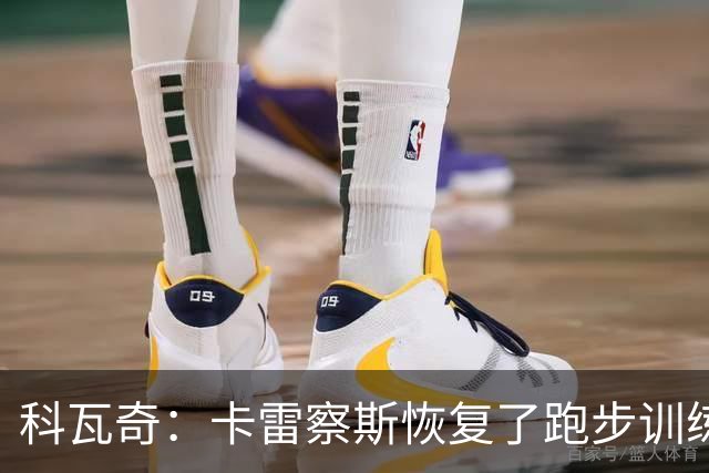 科瓦奇：卡雷察斯恢复了跑步训练；丘库埃梅卡在进行负荷管理