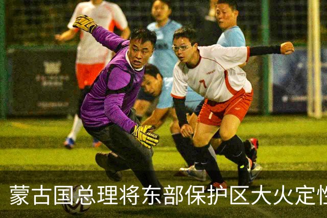 蒙古国总理将东部保护区大火定性为严重生态事件 蒙方将彻查追责