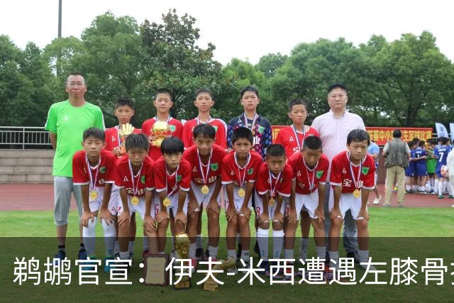 鹈鹕官宣：伊夫-米西遭遇左膝骨挫伤 归期未定